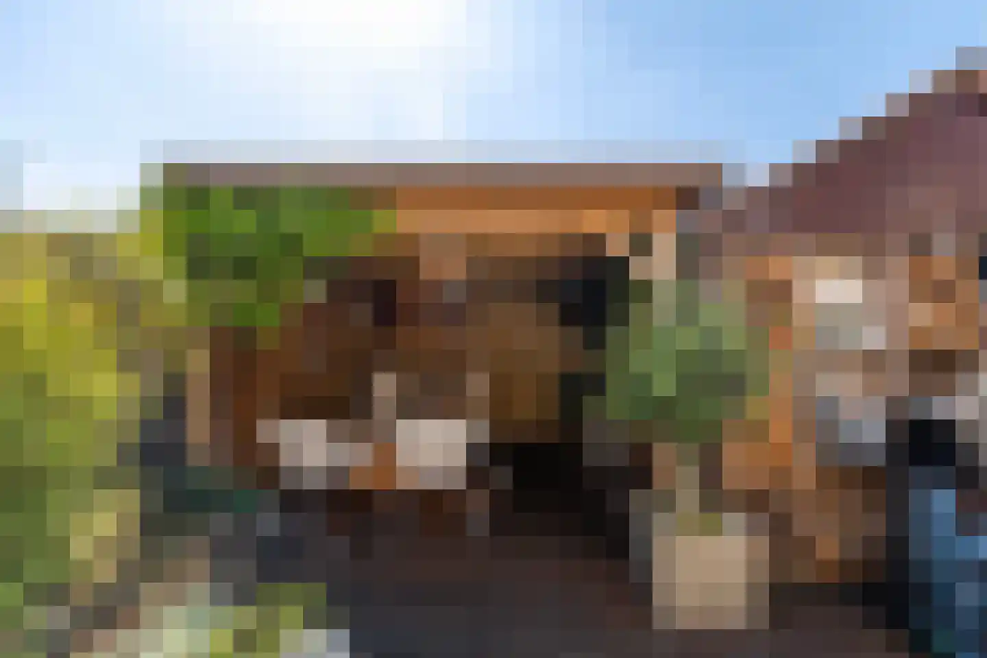 Bremstraat 14 Klaaswaal thumbnail 38