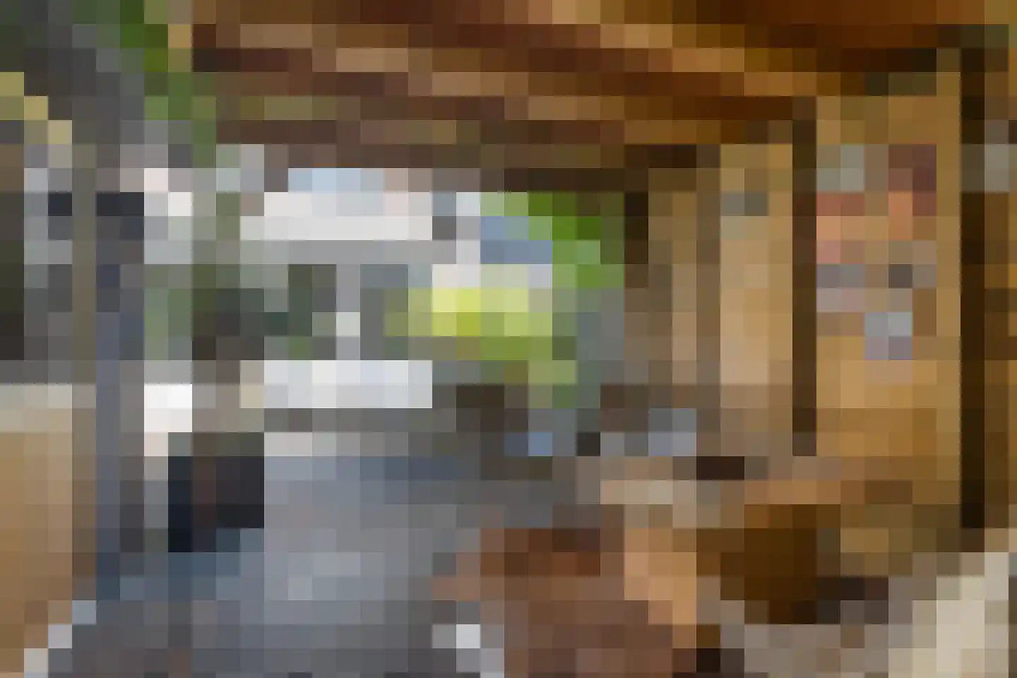 Bremstraat 14 Klaaswaal thumbnail 39