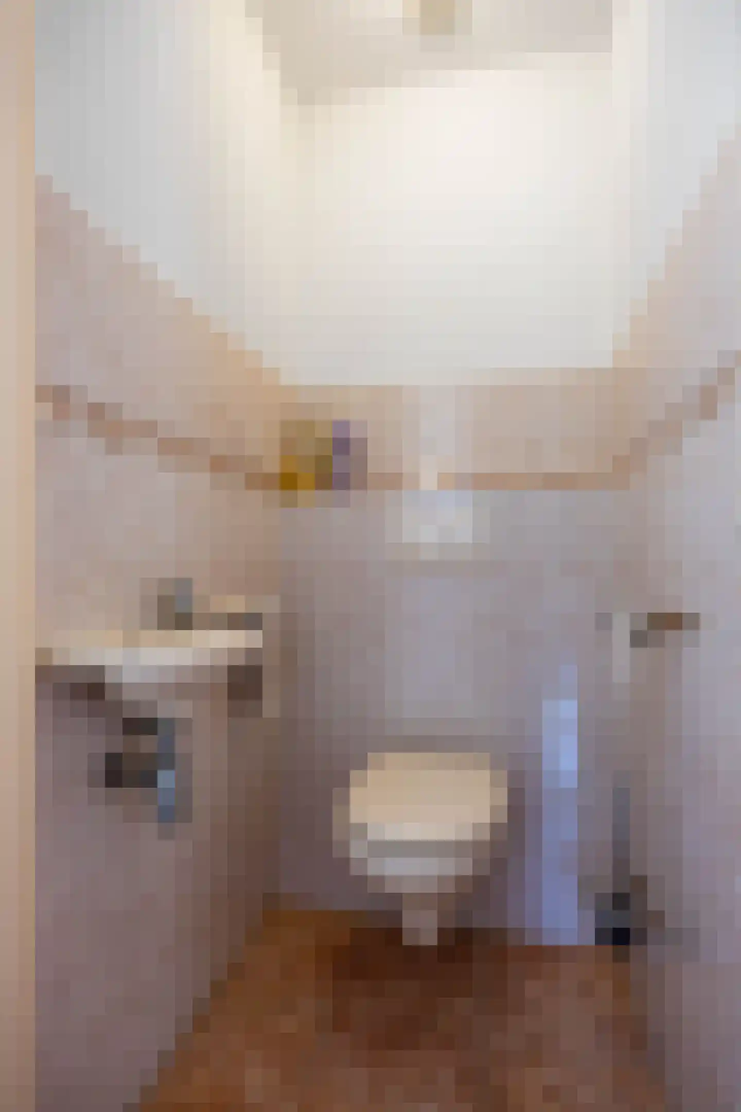 Bremstraat 14 Wagenborgen thumbnail 20