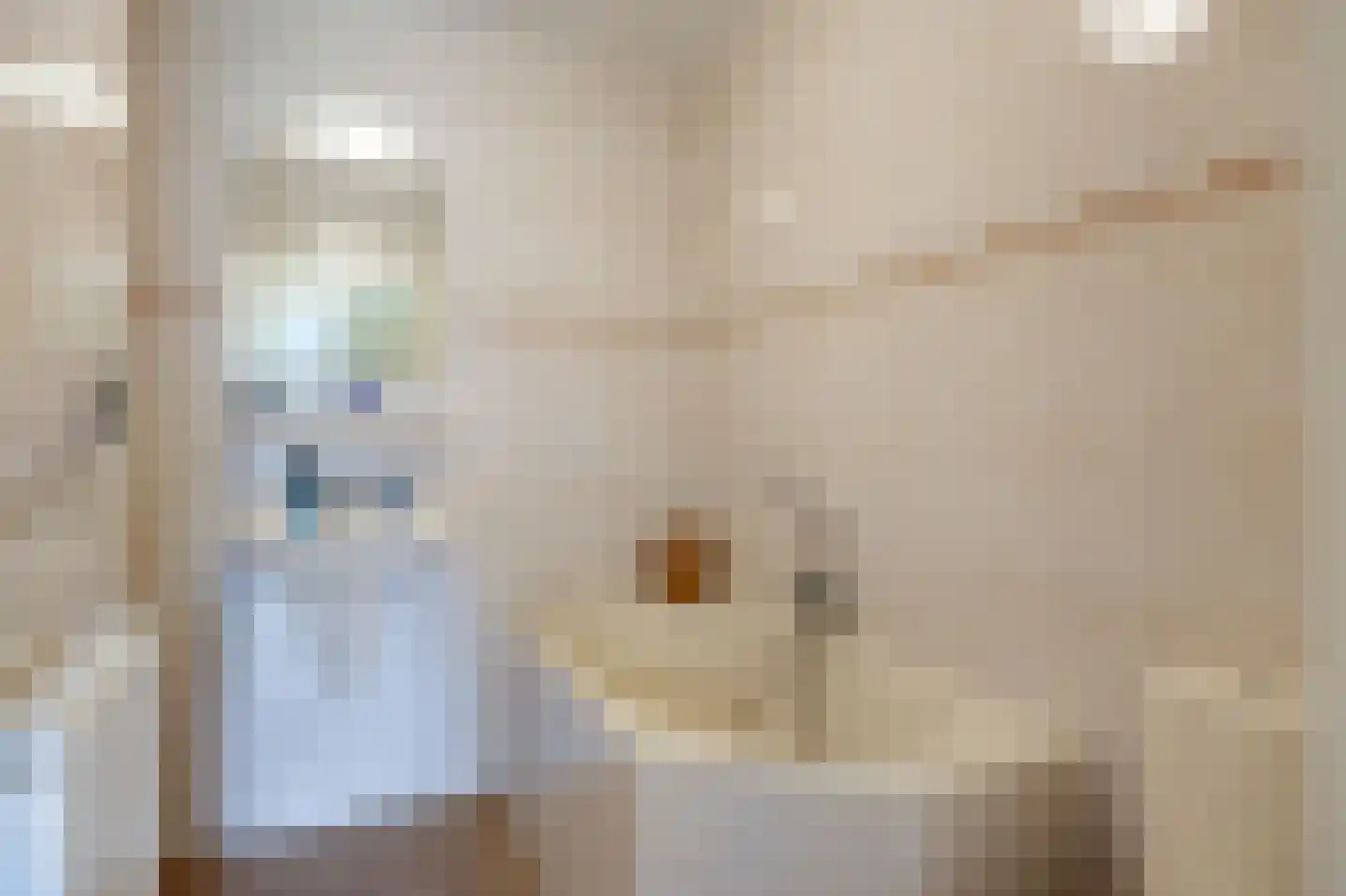 Bremstraat 14 Wagenborgen thumbnail 21