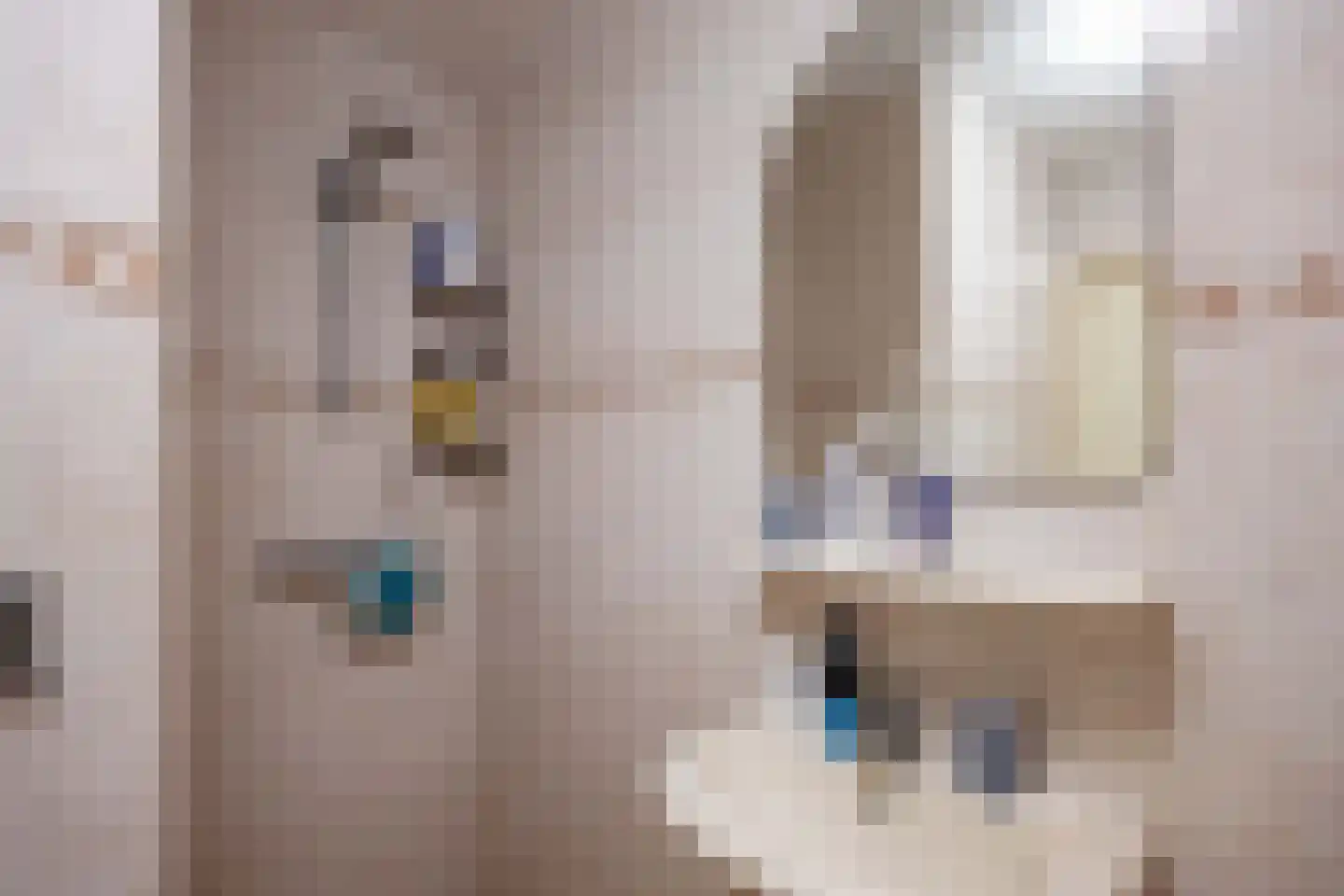 Bremstraat 14 Wagenborgen thumbnail 22