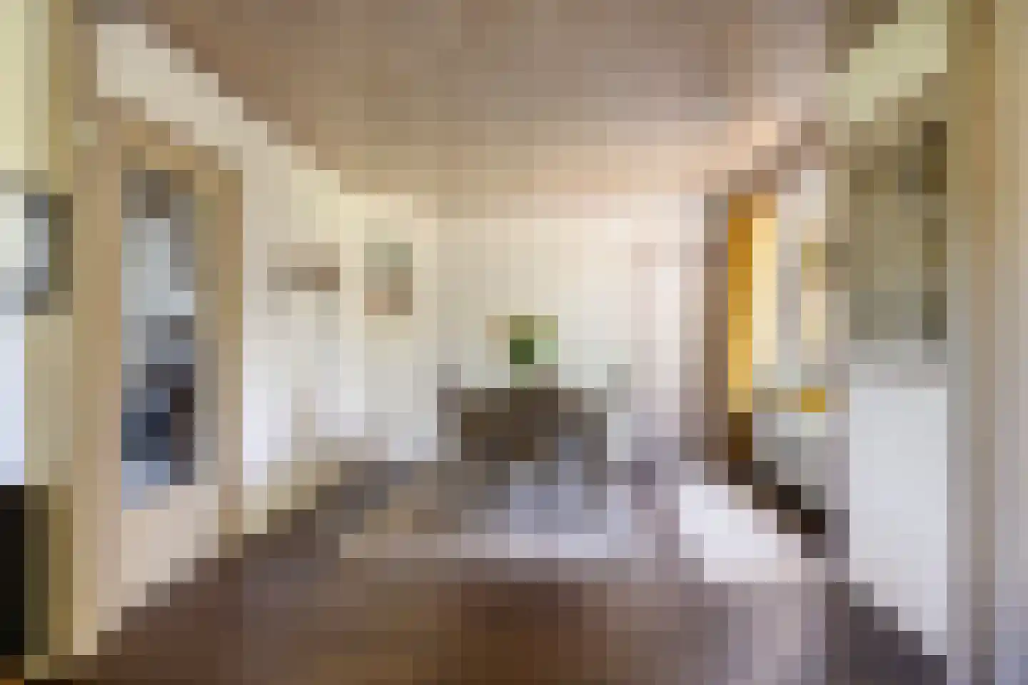Bremstraat 147 St. Willebrord thumbnail 14
