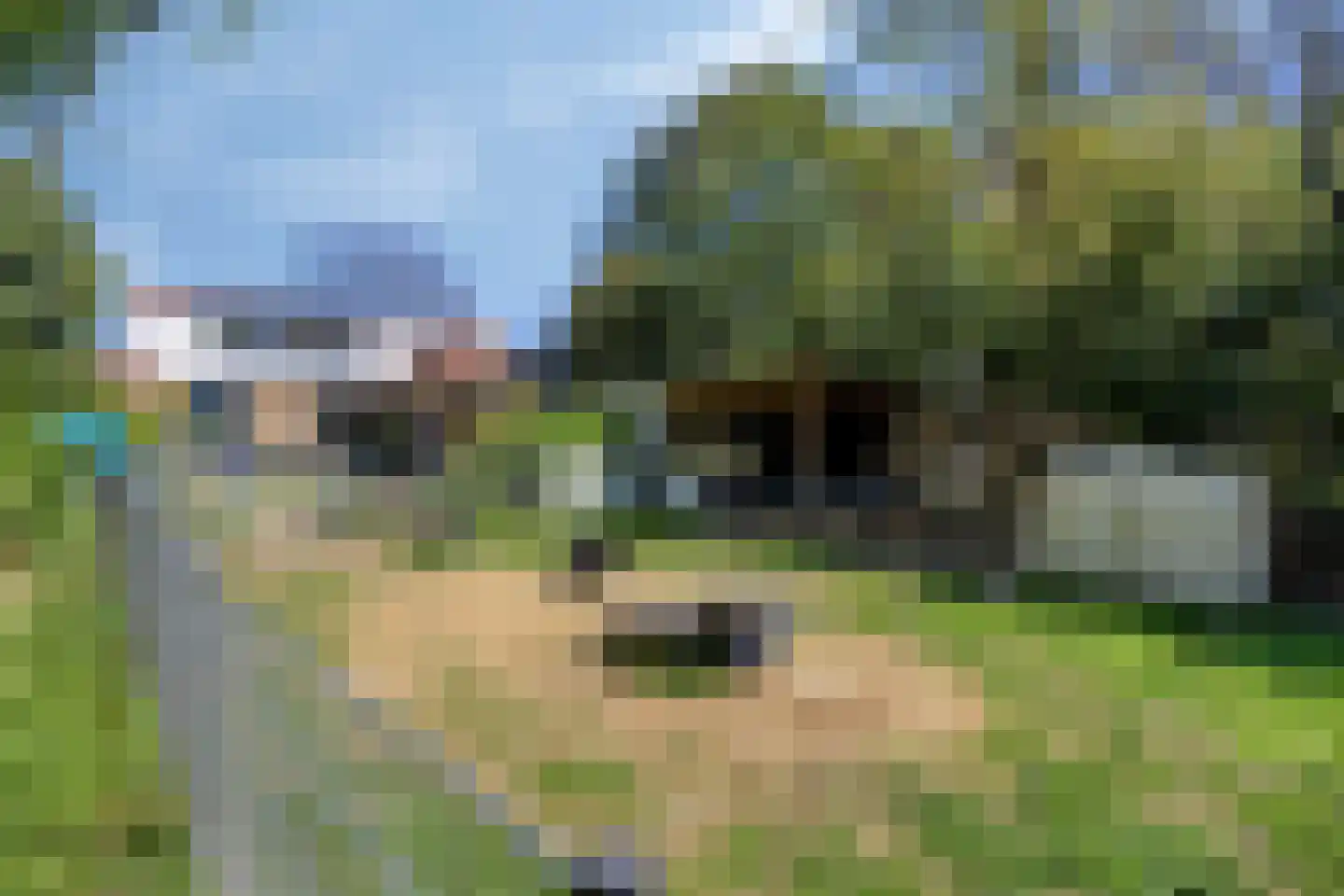 Bremstraat 147 St. Willebrord thumbnail 37