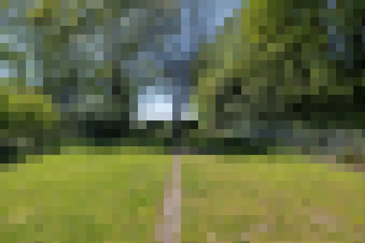Bremstraat 147 St. Willebrord thumbnail 38