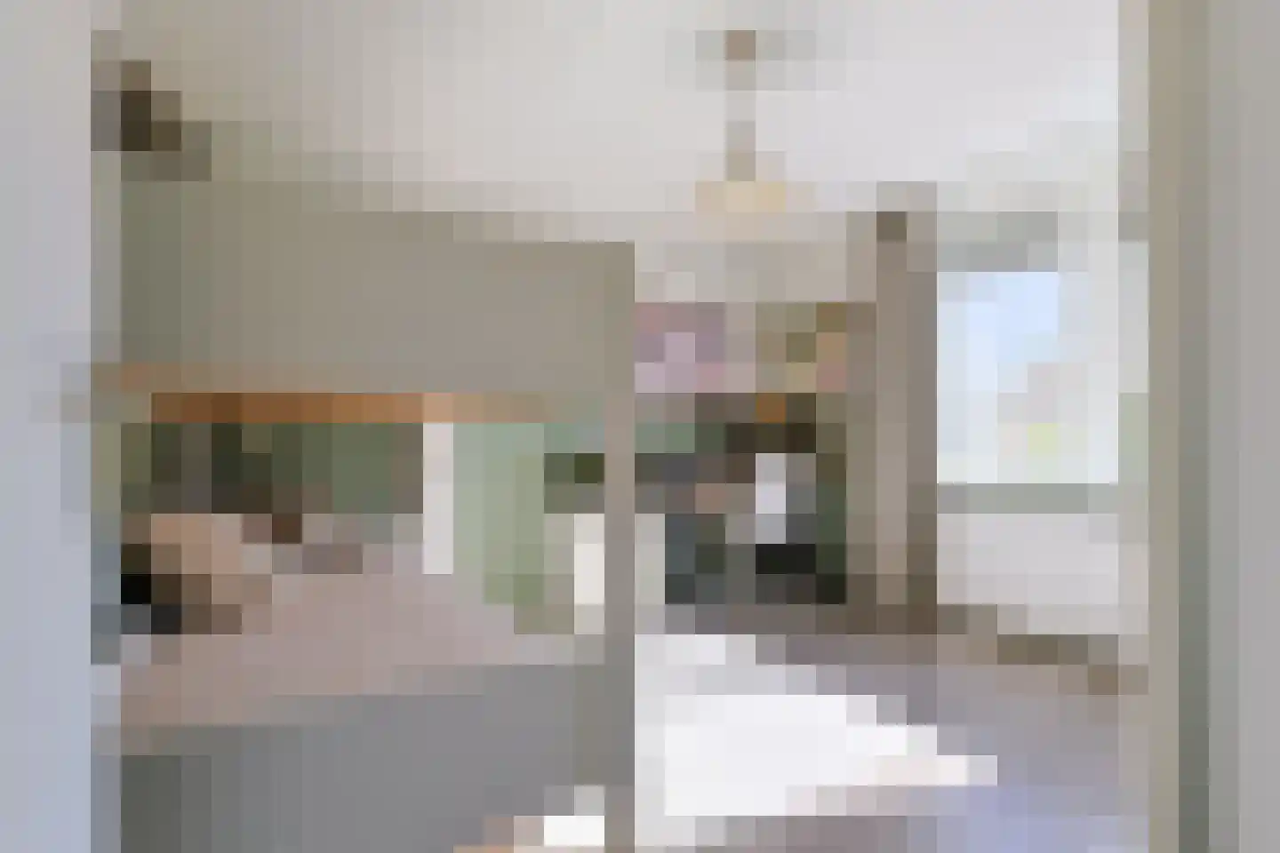 Bremstraat 15 Alphen aan den Rijn thumbnail 22