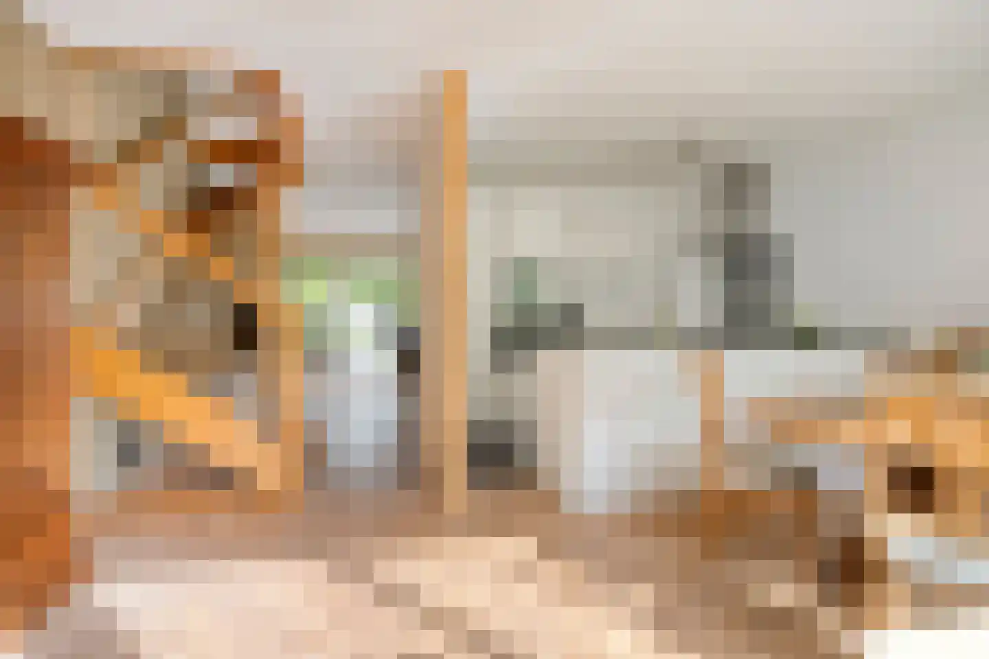Bremstraat 15 Bovensmilde thumbnail 10