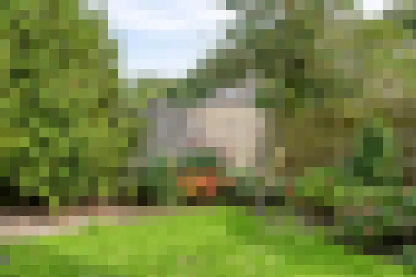 Bremstraat 15 Bovensmilde thumbnail 38