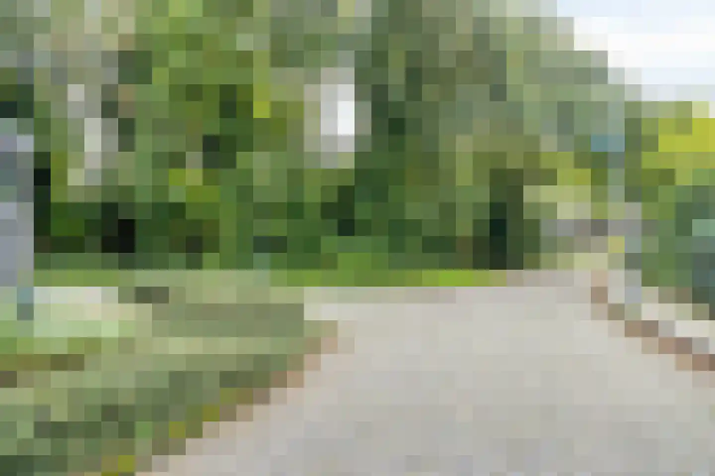 Bremstraat 15 Bovensmilde thumbnail 52