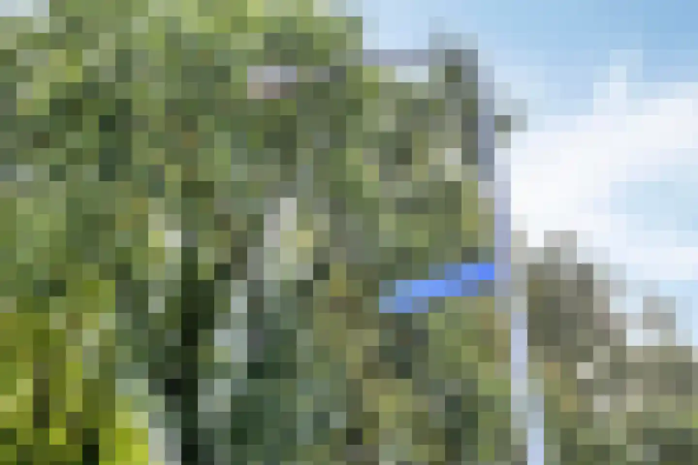 Bremstraat 15 Bovensmilde thumbnail 53