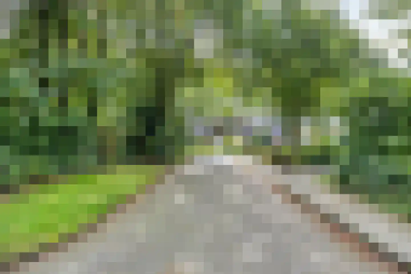 Bremstraat 15 Bovensmilde thumbnail 55