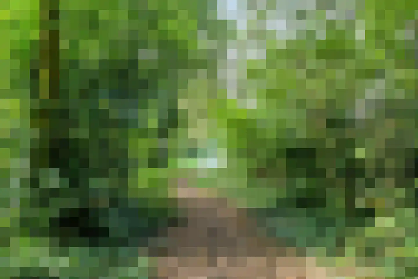 Bremstraat 15 Bovensmilde thumbnail 56