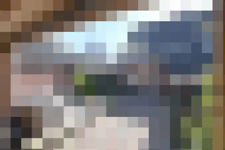 Bremstraat 15 Bussum thumbnail 17
