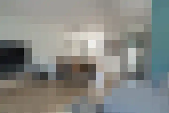 Bremstraat 15 Neede thumbnail 10