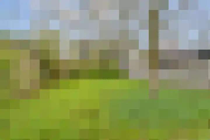 Bremstraat 15 Neede thumbnail 26