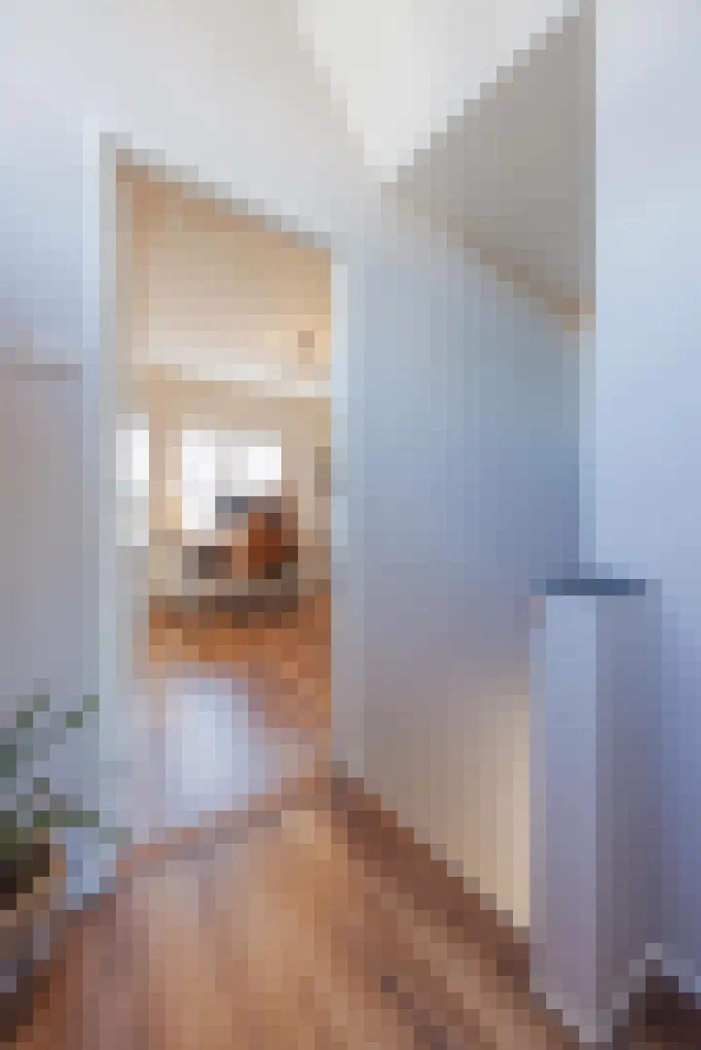Bremstraat 152 St. Willebrord thumbnail 37