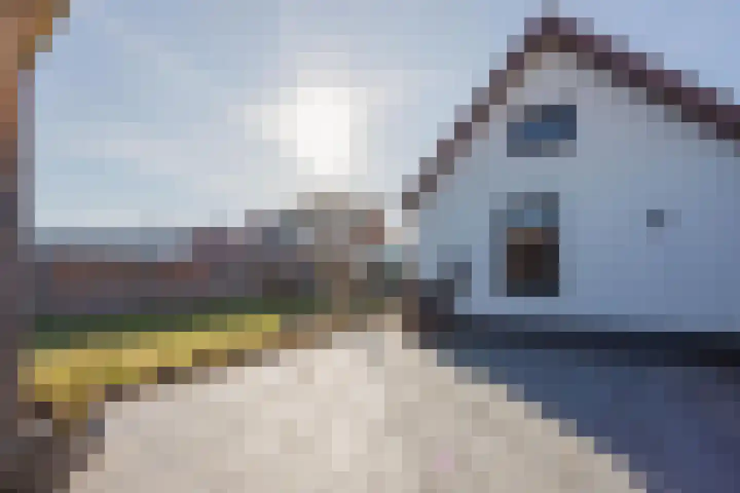 Bremstraat 152 St. Willebrord thumbnail 44