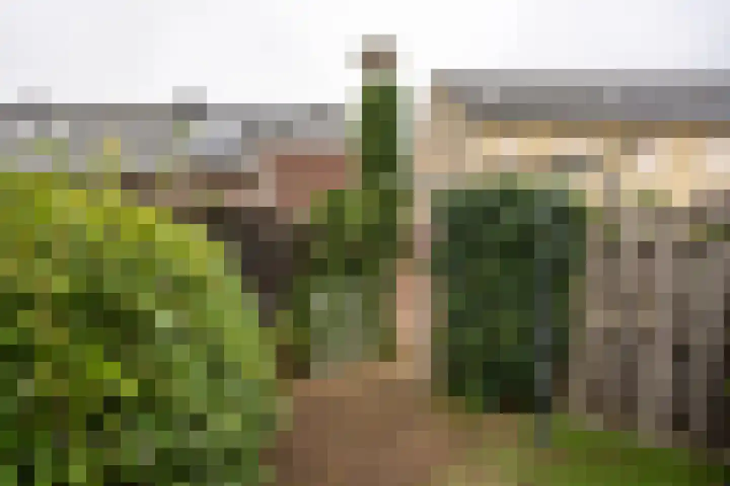 Bremstraat 16 Groesbeek thumbnail 41