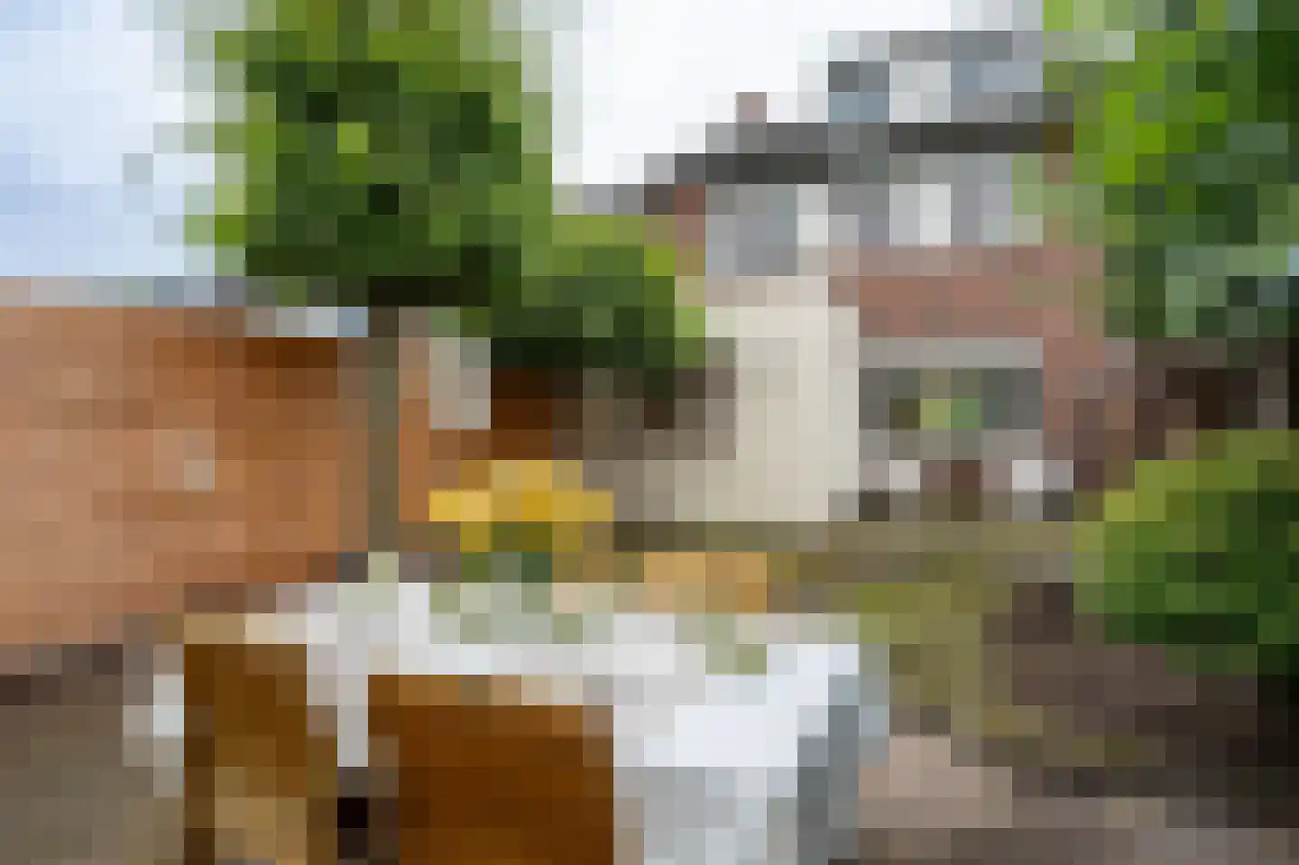 Bremstraat 16 Groesbeek thumbnail 6