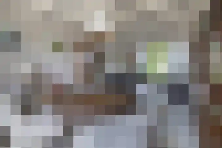 Bremstraat 16 Waalwijk thumbnail 10