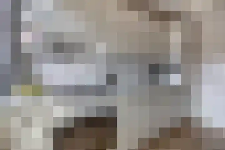 Bremstraat 16 Waalwijk thumbnail 14