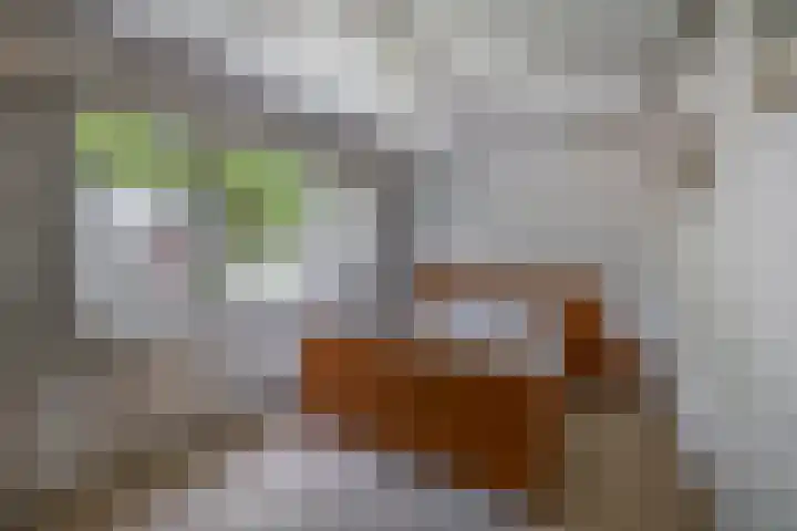 Bremstraat 16 Waalwijk thumbnail 23