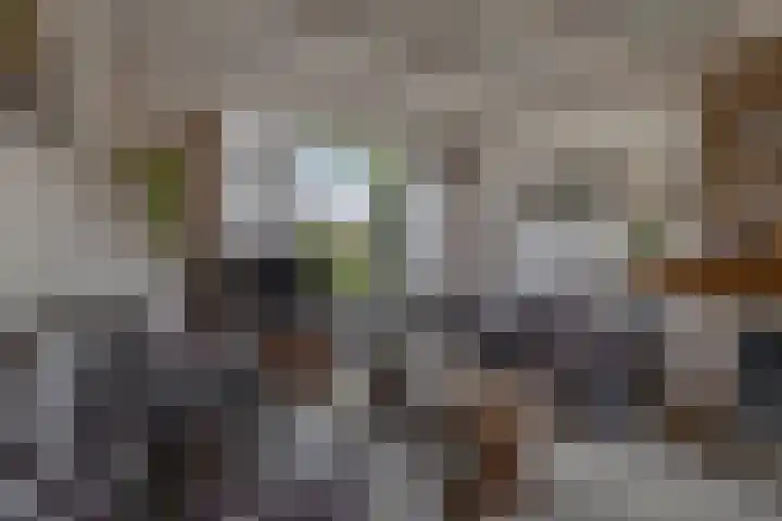 Bremstraat 16 Waalwijk thumbnail 6