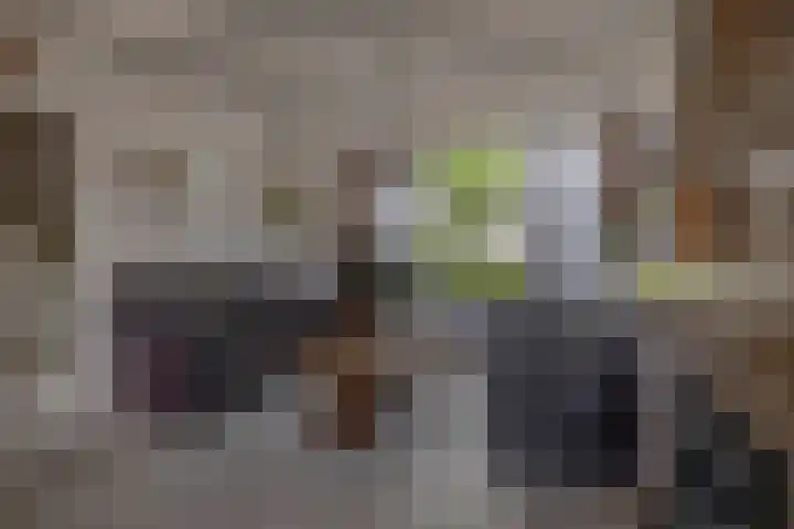 Bremstraat 16 Waalwijk thumbnail 7