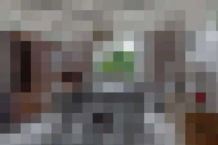 Bremstraat 16 Waalwijk thumbnail 9