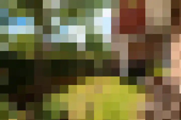 Bremstraat 17 Baarn thumbnail 20