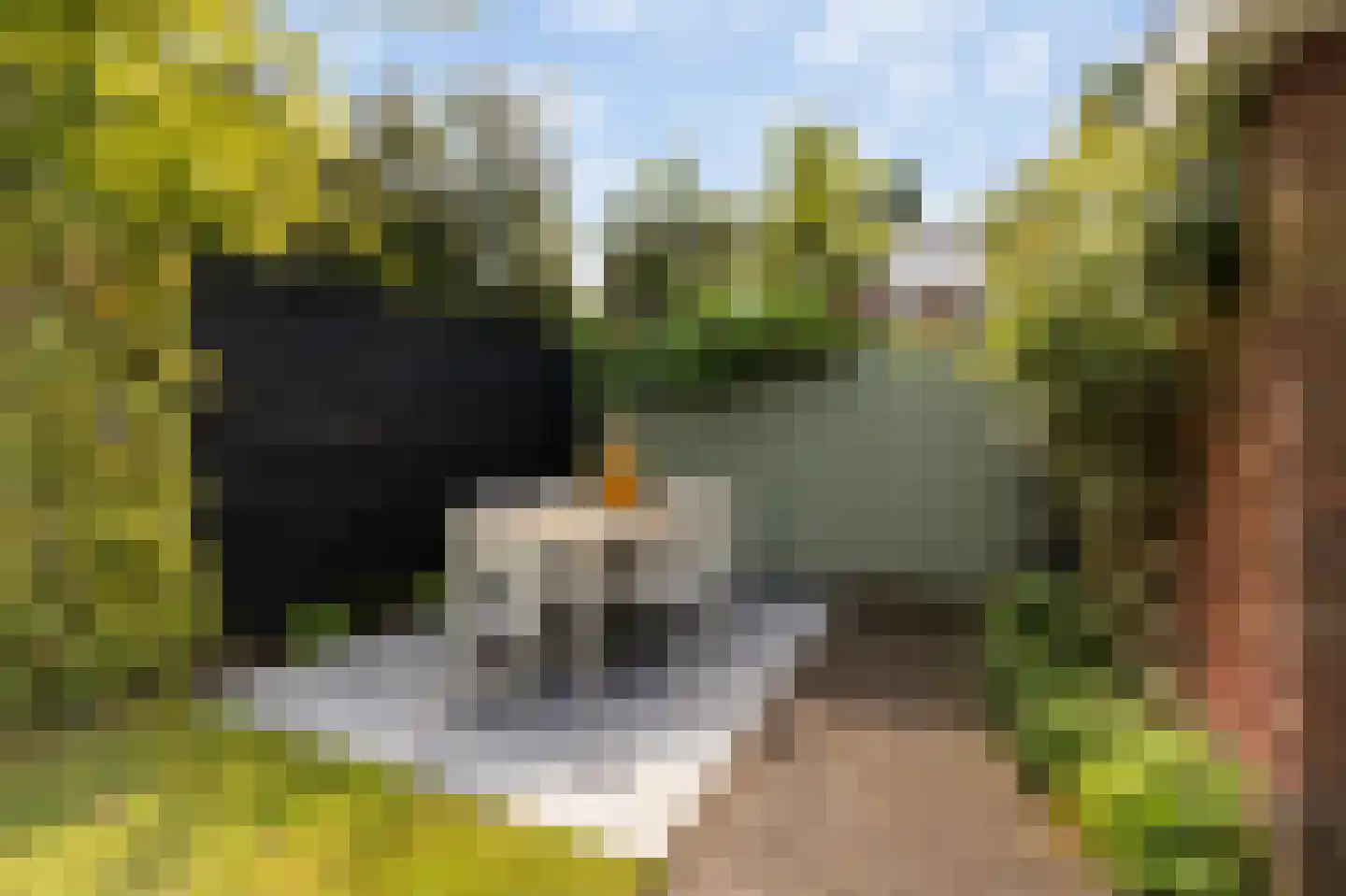 Bremstraat 18 Bussum thumbnail 33