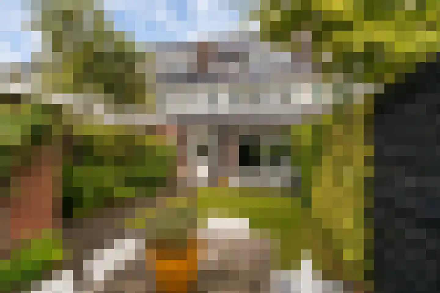 Bremstraat 18 Bussum thumbnail 35