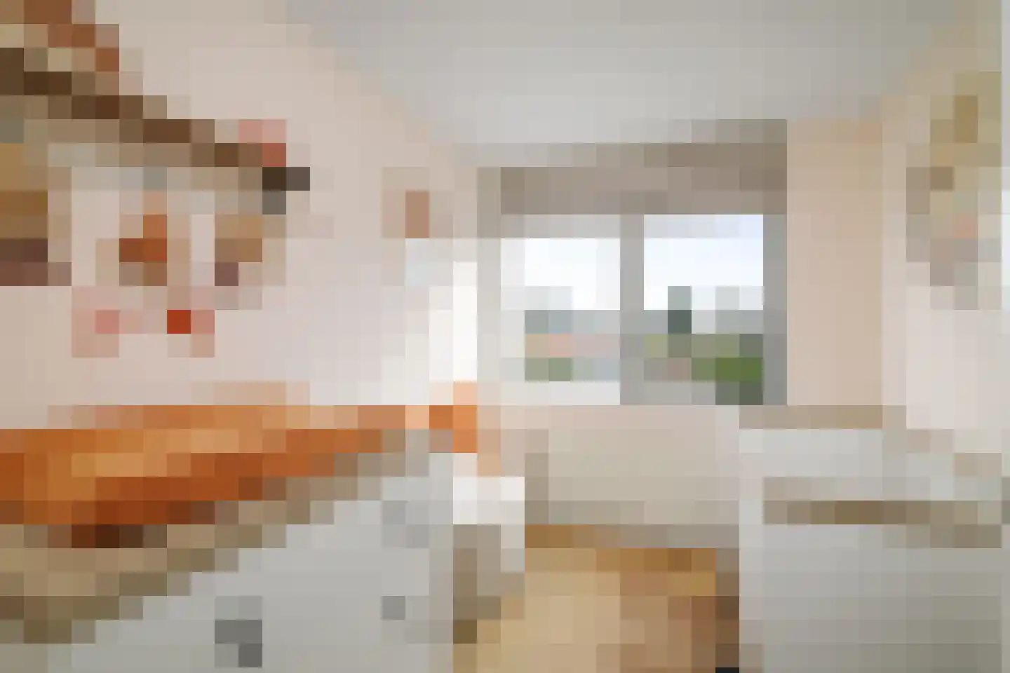 Bremstraat 18 Twello thumbnail 24