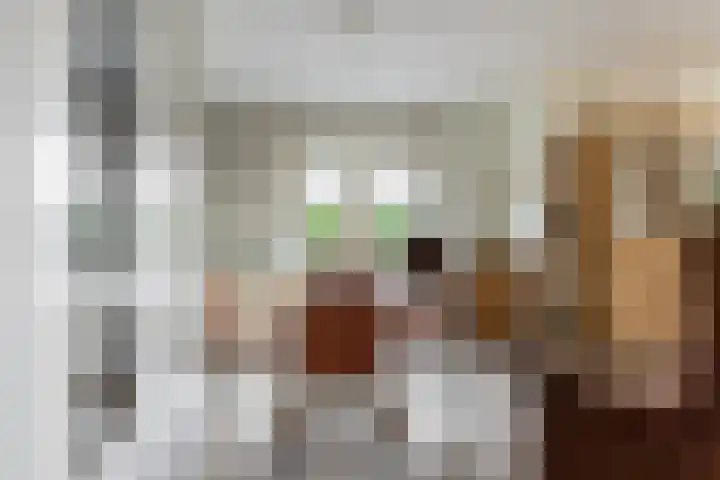Bremstraat 18 Zevenhuizen thumbnail 12