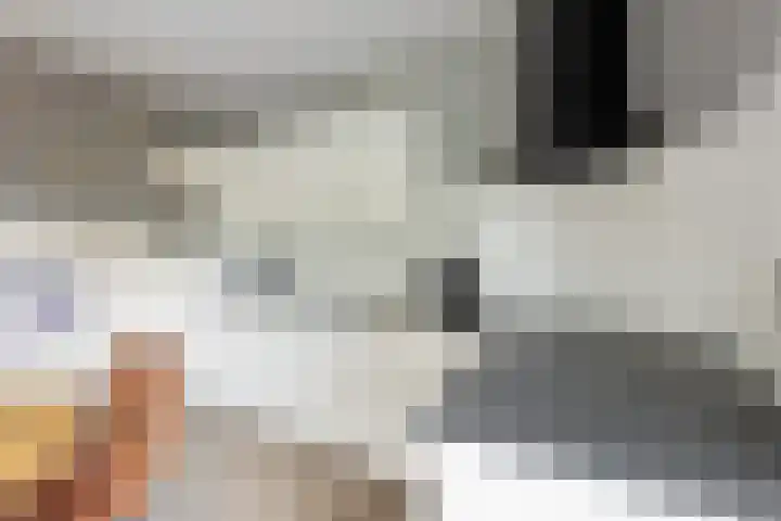 Bremstraat 18 Zevenhuizen thumbnail 16