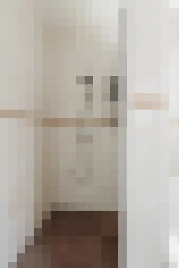 Bremstraat 18 Zevenhuizen thumbnail 20