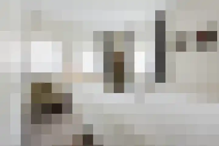 Bremstraat 18 Zevenhuizen thumbnail 22
