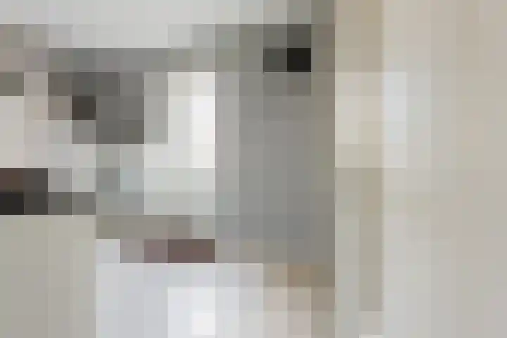 Bremstraat 18 Zevenhuizen thumbnail 24
