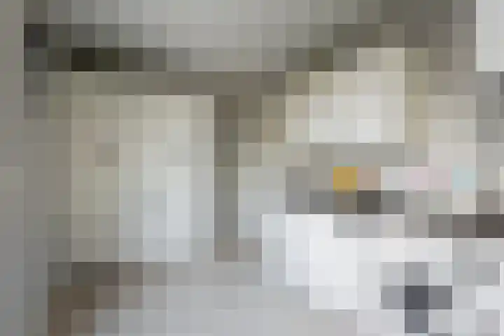 Bremstraat 18 Zevenhuizen thumbnail 25