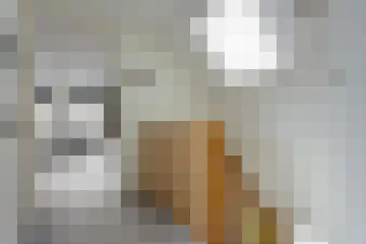 Bremstraat 18 Zevenhuizen thumbnail 27