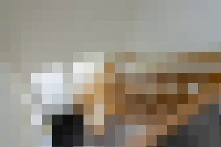 Bremstraat 18 Zevenhuizen thumbnail 28