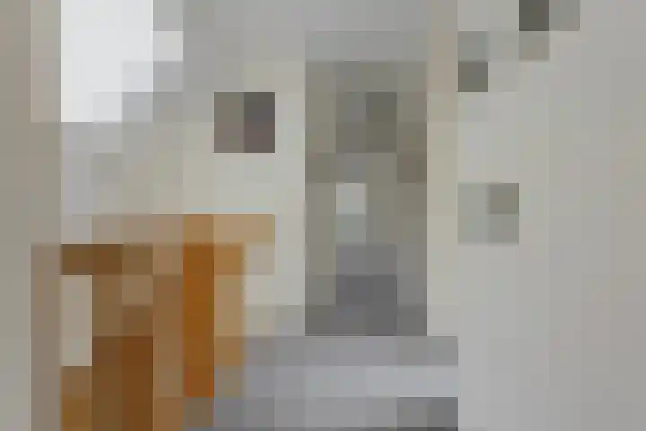 Bremstraat 18 Zevenhuizen thumbnail 29