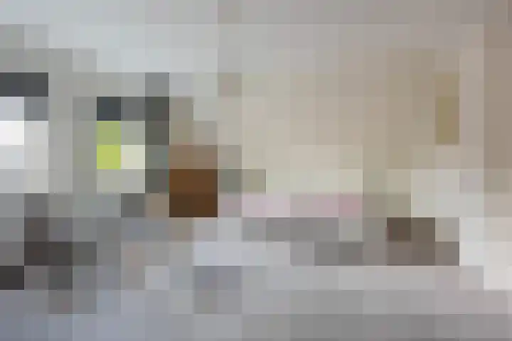 Bremstraat 18 Zevenhuizen thumbnail 30