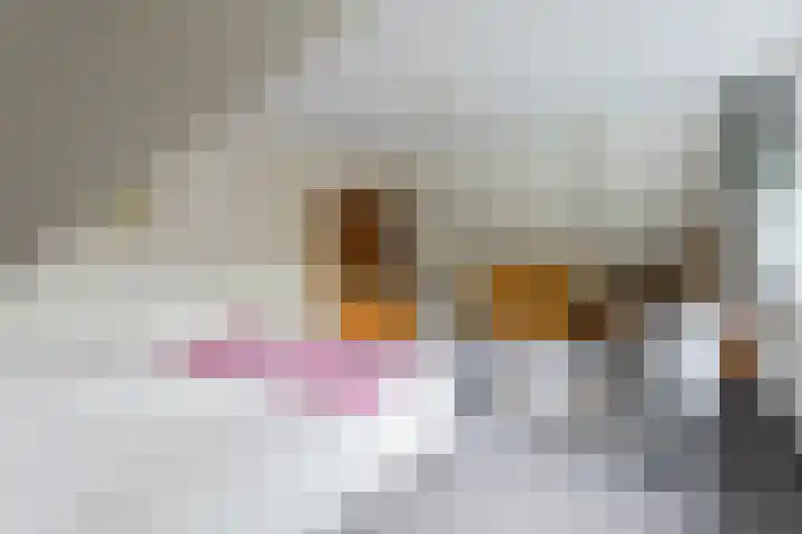 Bremstraat 18 Zevenhuizen thumbnail 31