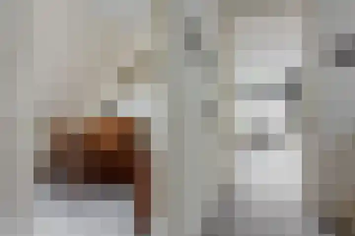 Bremstraat 18 Zevenhuizen thumbnail 32