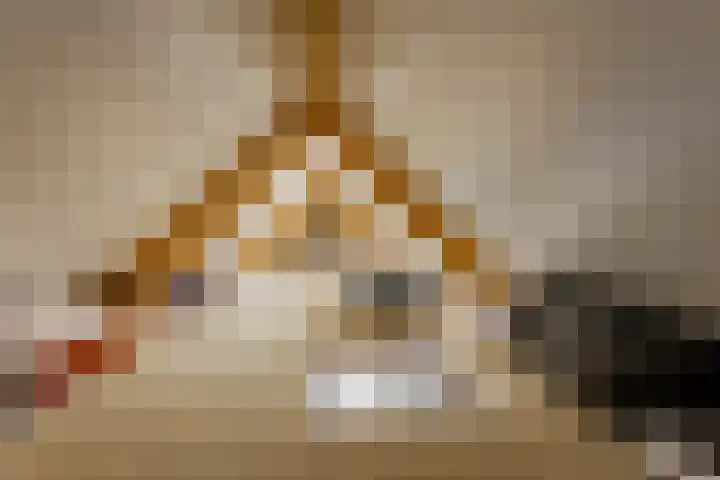 Bremstraat 18 Zevenhuizen thumbnail 41