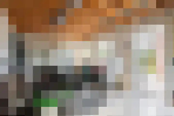 Bremstraat 18 Zevenhuizen thumbnail 42