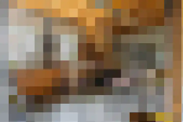 Bremstraat 18 Zevenhuizen thumbnail 43