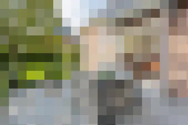 Bremstraat 18 Zevenhuizen thumbnail 46