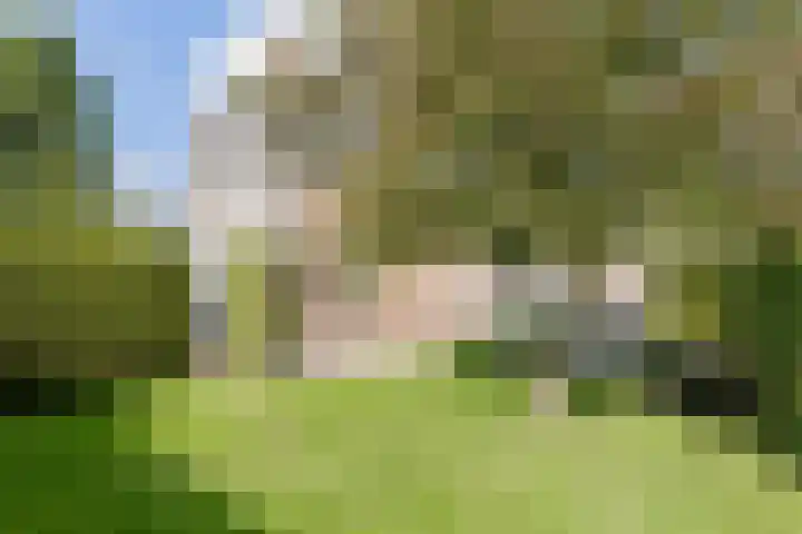 Bremstraat 18 Zevenhuizen thumbnail 47
