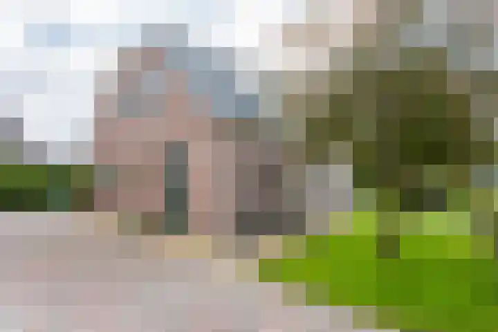 Bremstraat 18 Zevenhuizen thumbnail 48